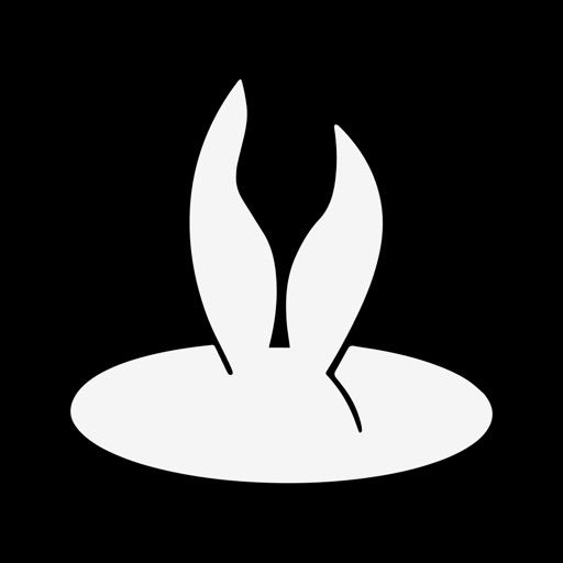 RabbitHole – VPN Client